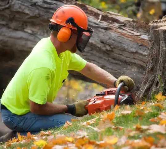 tree services Brunswick